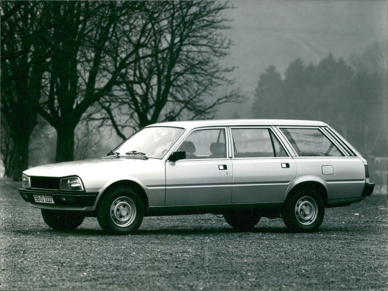 1982 Peugeot 505 - Vintage Photograph