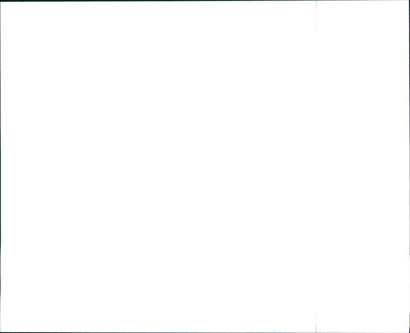 1995 Suzuki Swift - Vintage Photograph