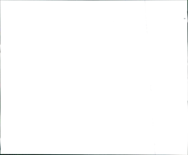 1998 Acura 2.3CL - Vintage Photograph