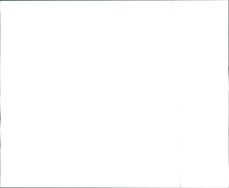 1996 Chevrolet Lumina LS Sedan. - Vintage Photograph