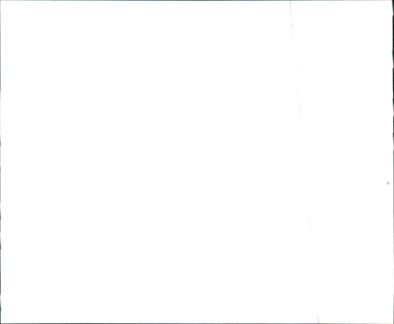 1996 Isuzu Rodeo - Vintage Photograph