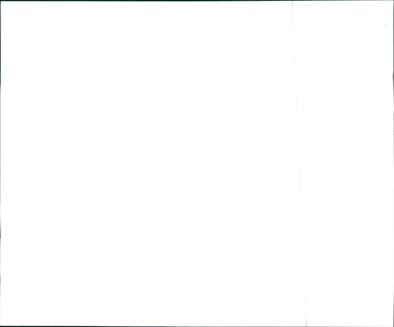 1996 Isuzu Trooper - Vintage Photograph