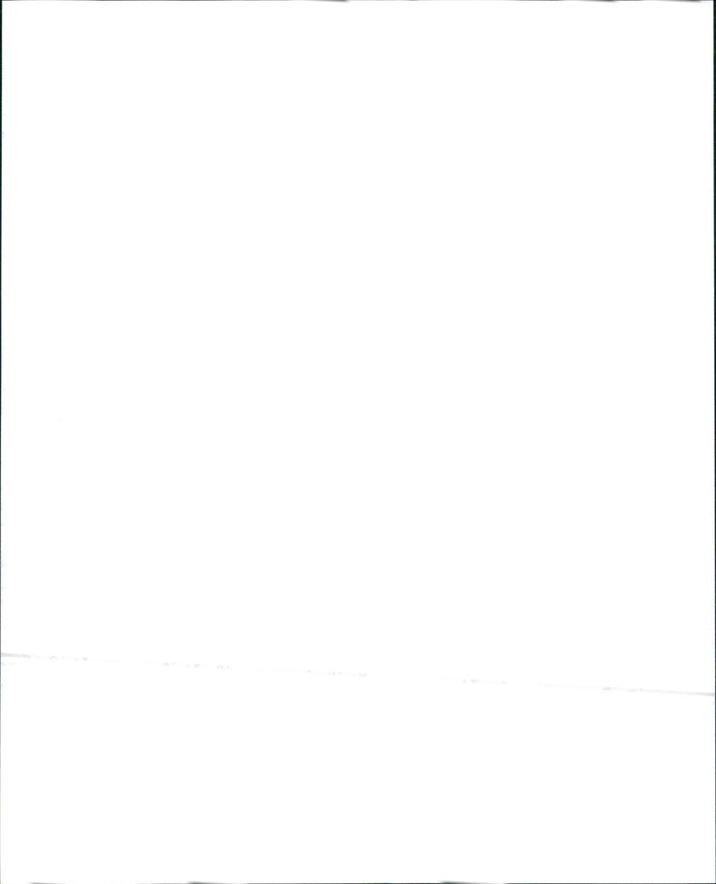 1996 Buick U.S Olympic Gold Regal. - Vintage Photograph