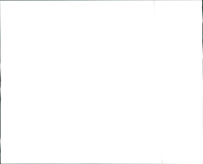 1996 Buick U.S Olympic Gold Regal. - Vintage Photograph