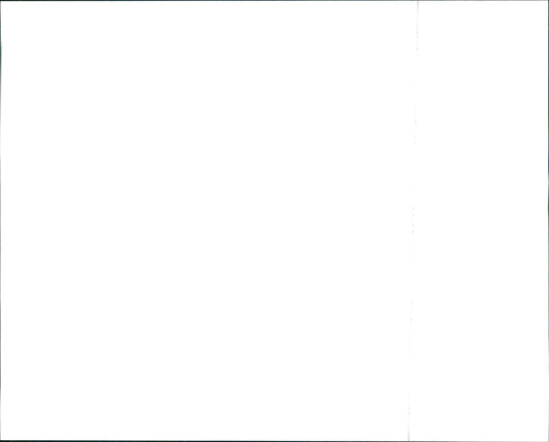 1996 Buick U.S Olympic Gold Regal. - Vintage Photograph