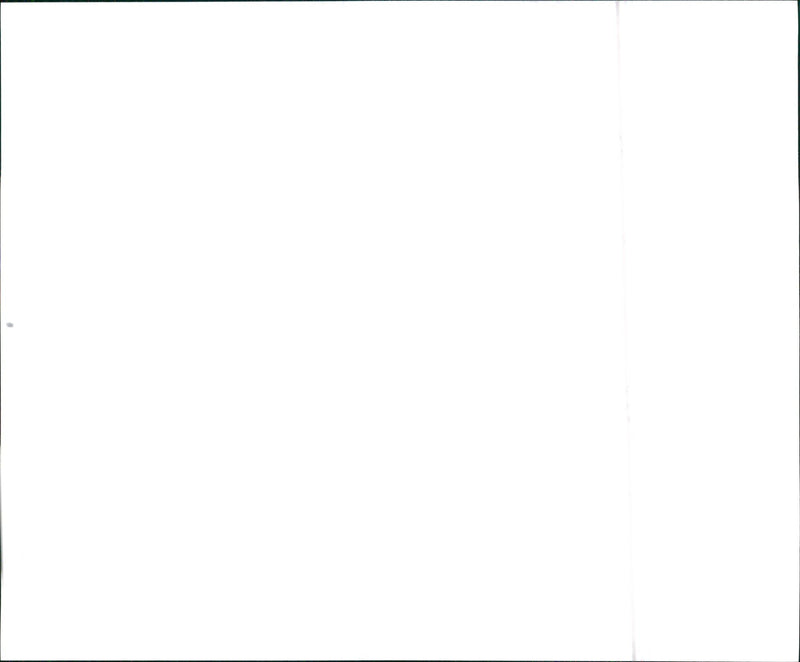 1996 Hyundai Sonata - Vintage Photograph