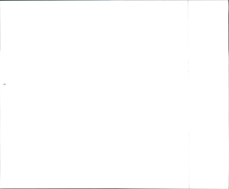 1996 Hyundai Elantra - Vintage Photograph