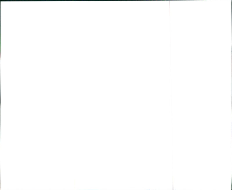 1996 Suzuki Esteem - Vintage Photograph