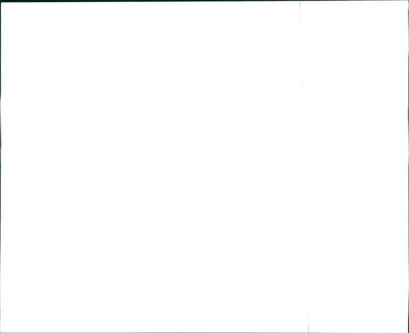 1996 Suzuki Swift - Vintage Photograph