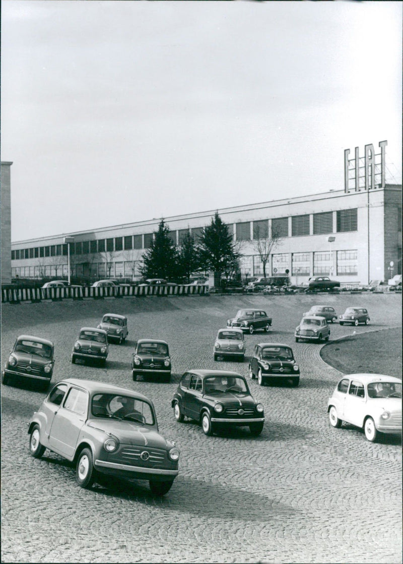 1955 Fiat 600 - Vintage Photograph