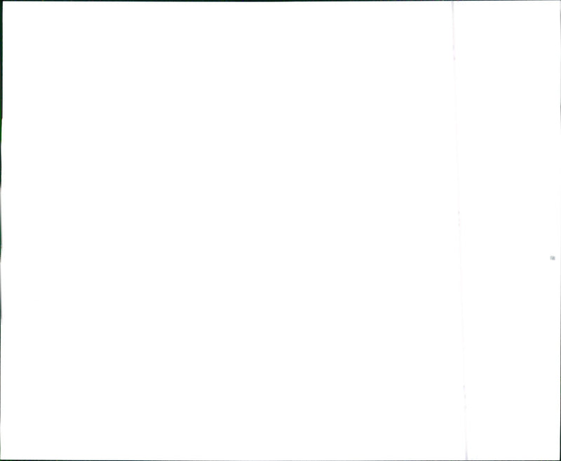 1996 Lexus ES 300 - Vintage Photograph