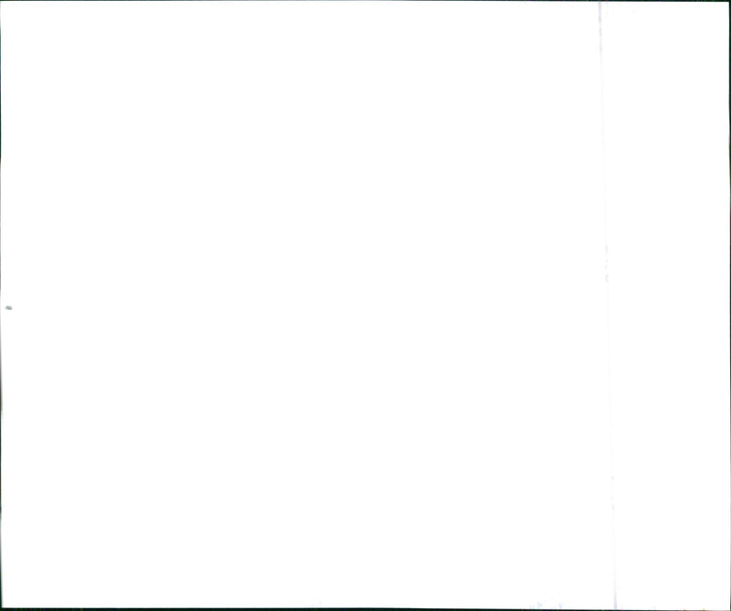 1996 Kia Sephia - Vintage Photograph