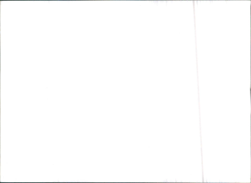 1983 Chameleon Range Rover - Vintage Photograph