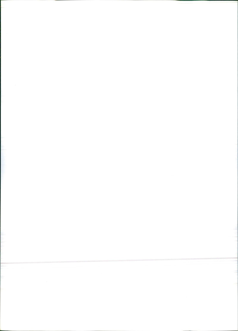 11 Bay es VE 360 GLE EURO - Vintage Photograph