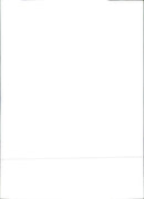 APC N gr / cm Bay es - Vintage Photograph