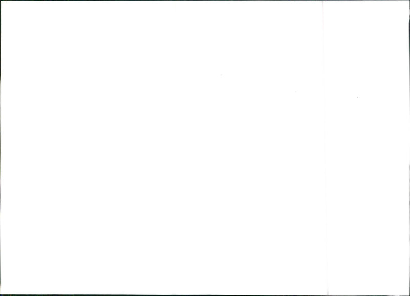 Alfa Romeo 33 1.3 - Vintage Photograph