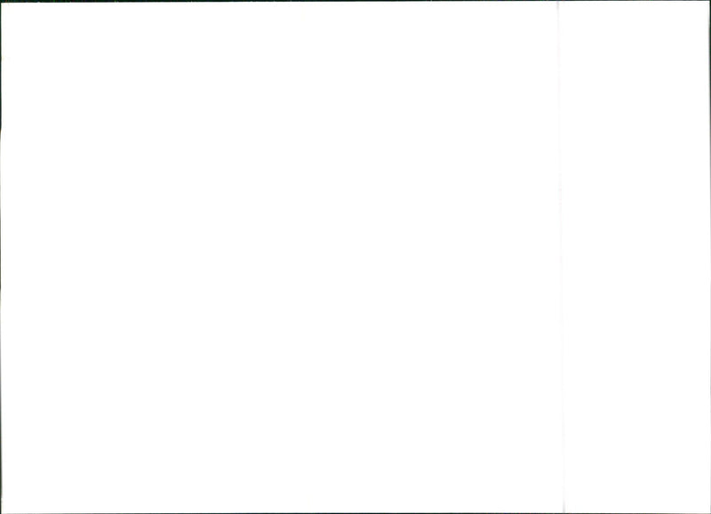 Alfa Romeo 33 - Vintage Photograph