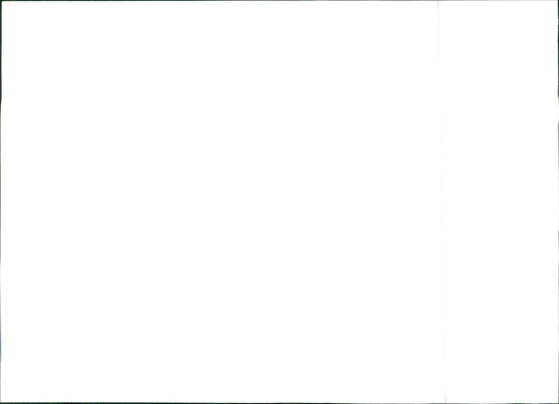 Alfa Romeo 33 - Vintage Photograph