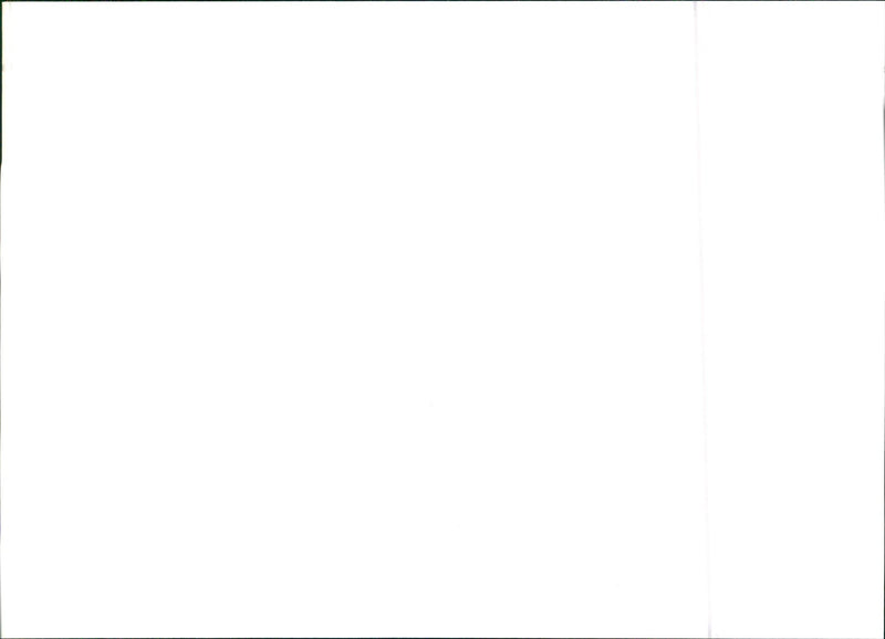 Alfa Romeo 33 - Vintage Photograph