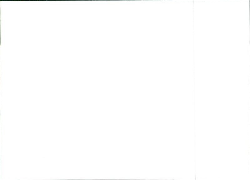 Alfa Romeo 33 - Vintage Photograph