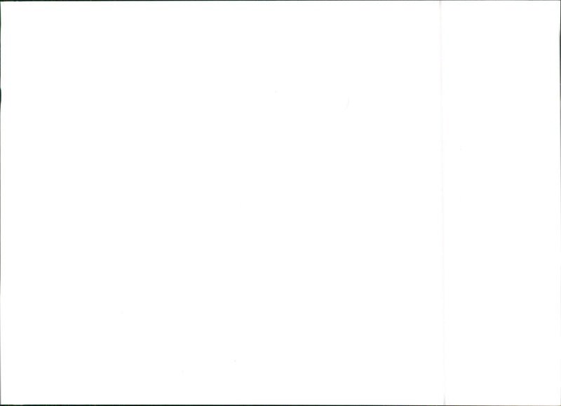 1984 Lancia Delta S4 - Vintage Photograph