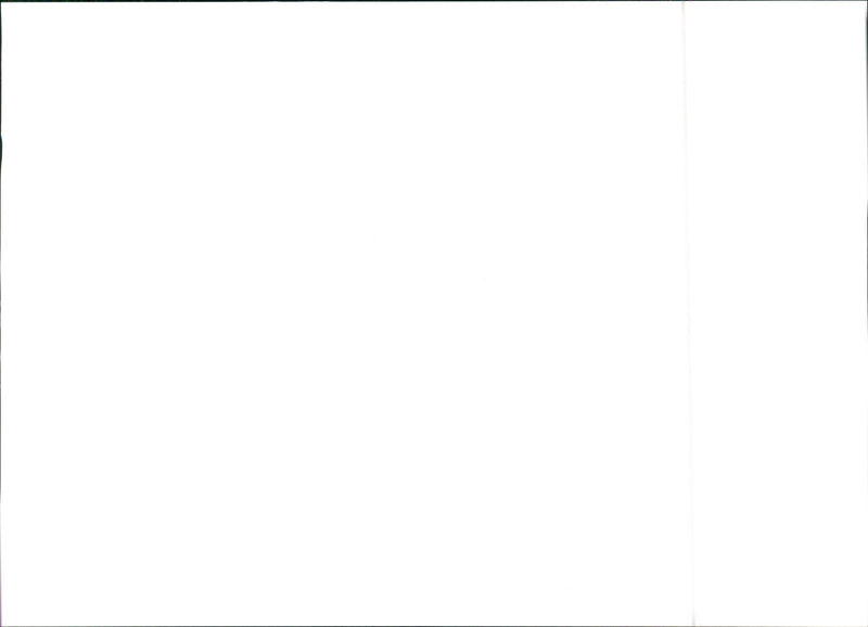 1984 Lancia Delta S4 - Vintage Photograph