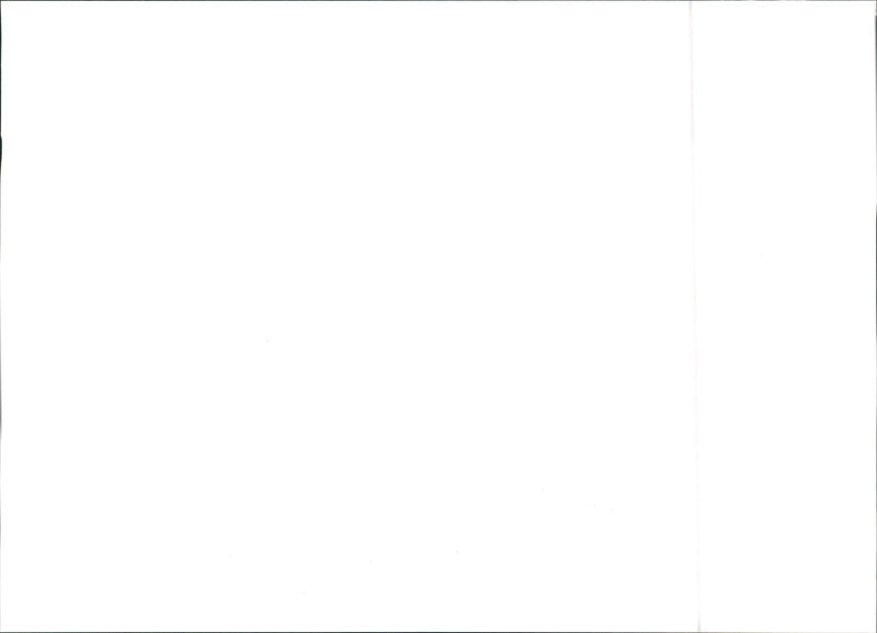 1984 Lancia Delta S4 - Vintage Photograph