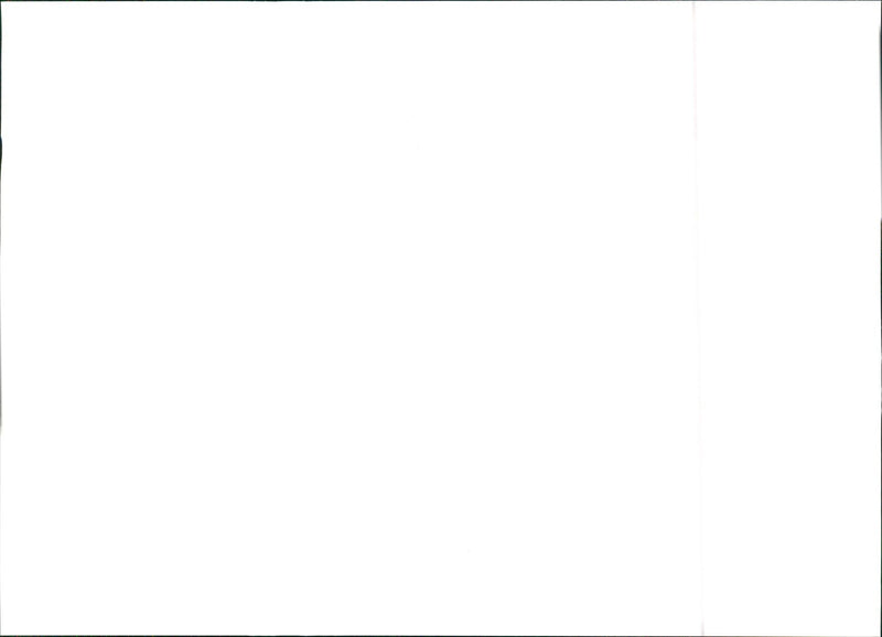 1984 Lancia Delta S4 - Vintage Photograph