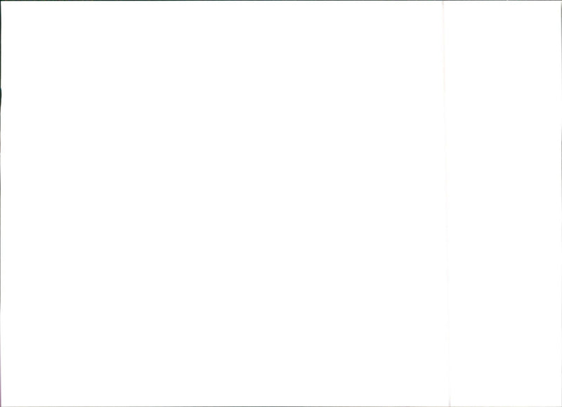 1984 Lancia Delta S4 - Vintage Photograph