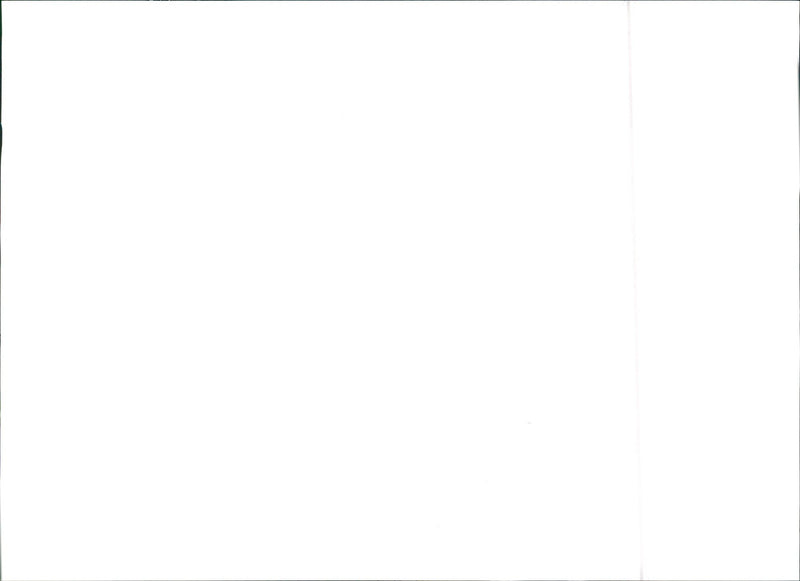 1984 Lancia Delta S4 - Vintage Photograph