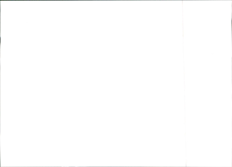 1984 Lancia Delta S4 - Vintage Photograph