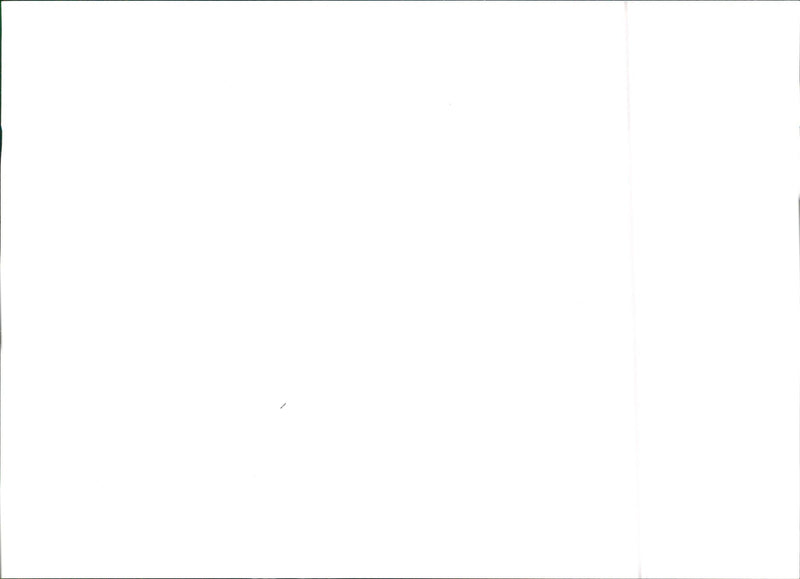 1984 Lancia Delta S4 - Vintage Photograph