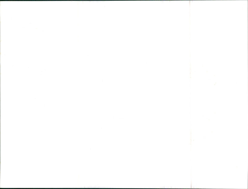 1978 Citroen GS Special 1130 ccm, 55 PS - Vintage Photograph