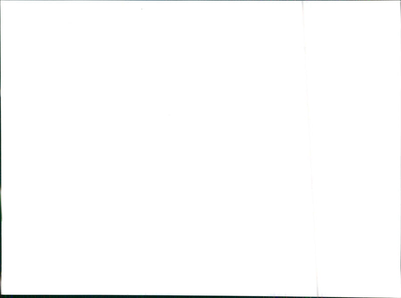 1978 Citroen - Vintage Photograph