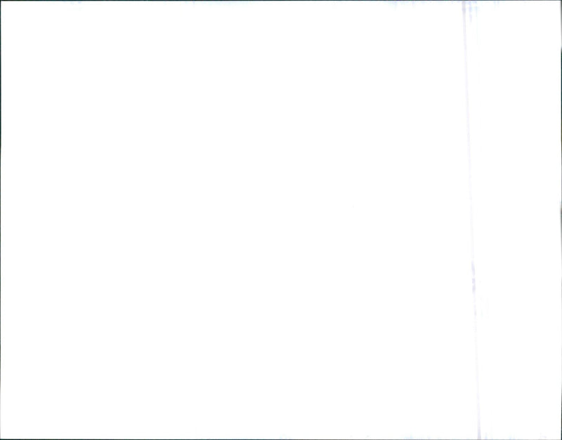 1996 Toyota Picnic - Vintage Photograph