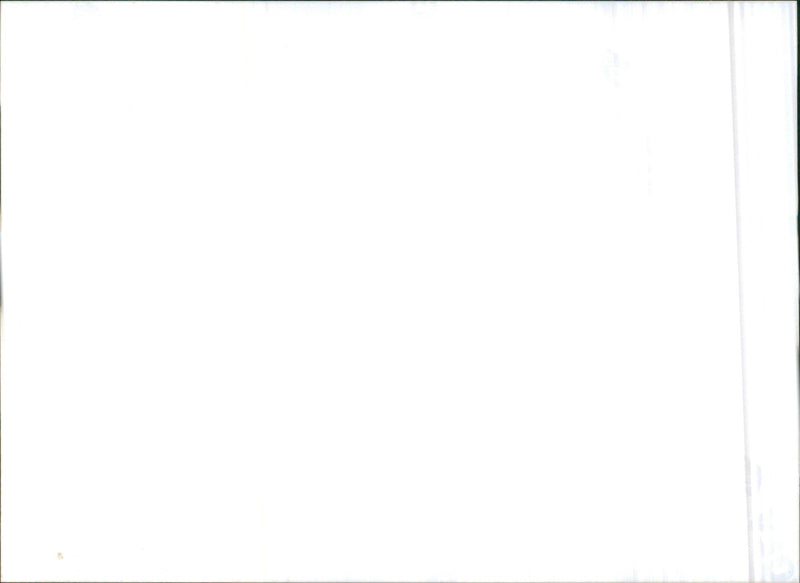 1999 Saab - Vintage Photograph