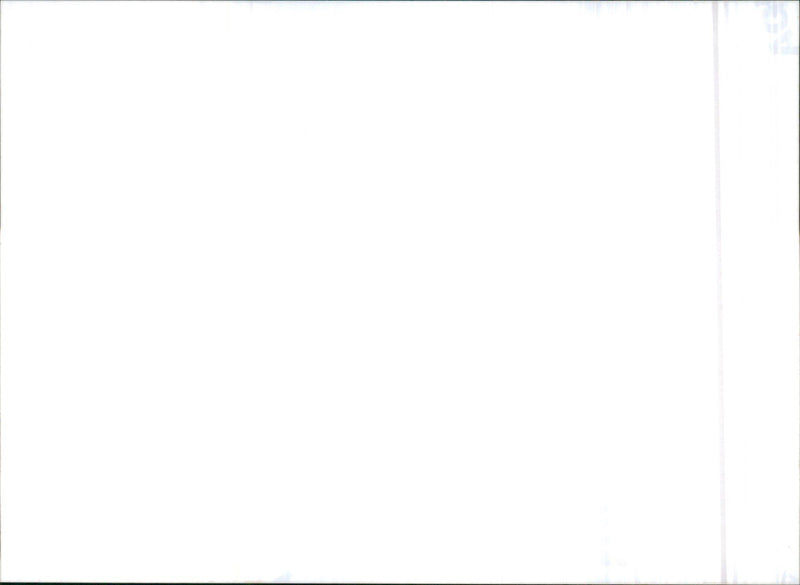 1999 Saab 9-3 Viggen - Vintage Photograph