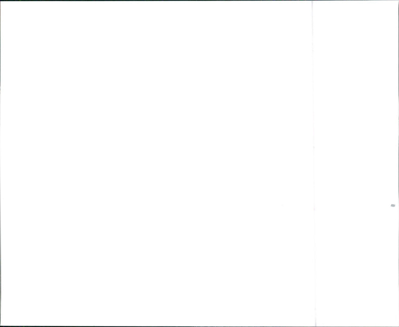 1999 Honda Odyssey EX - Vintage Photograph