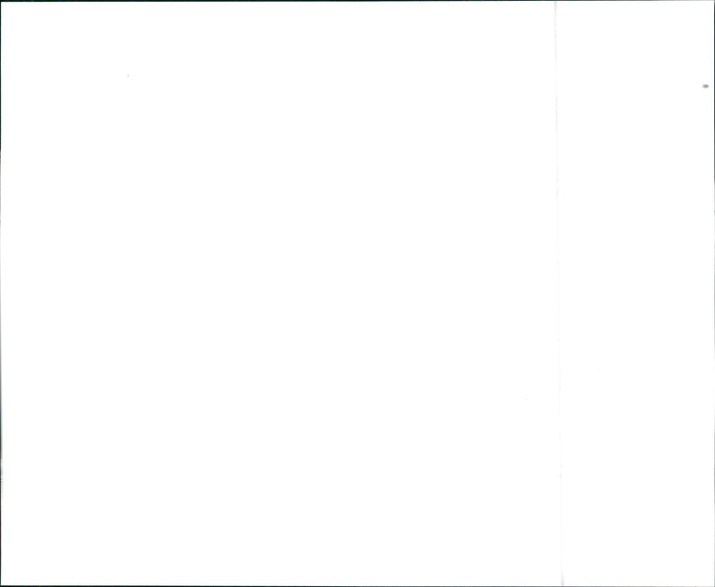 1999 Honda Odyssey EX - Vintage Photograph