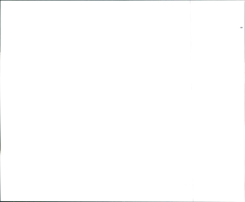 1999 Honda Odyssey EX - Vintage Photograph