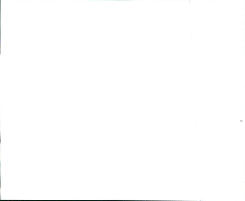 1999 Honda Odyssey LX - Vintage Photograph