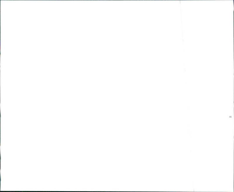 1999 Honda Civic Sedan EX - Vintage Photograph