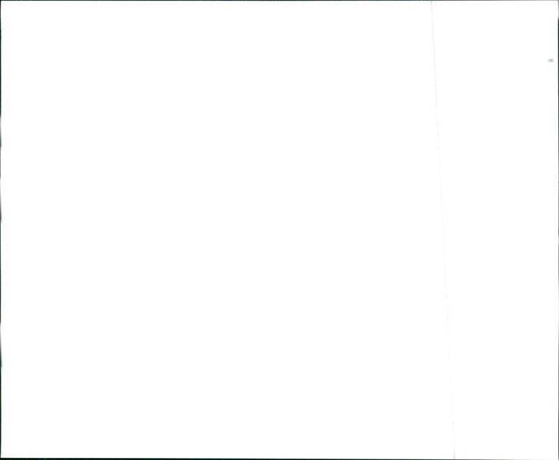 1999 Honda Civic Hatch DX - Vintage Photograph