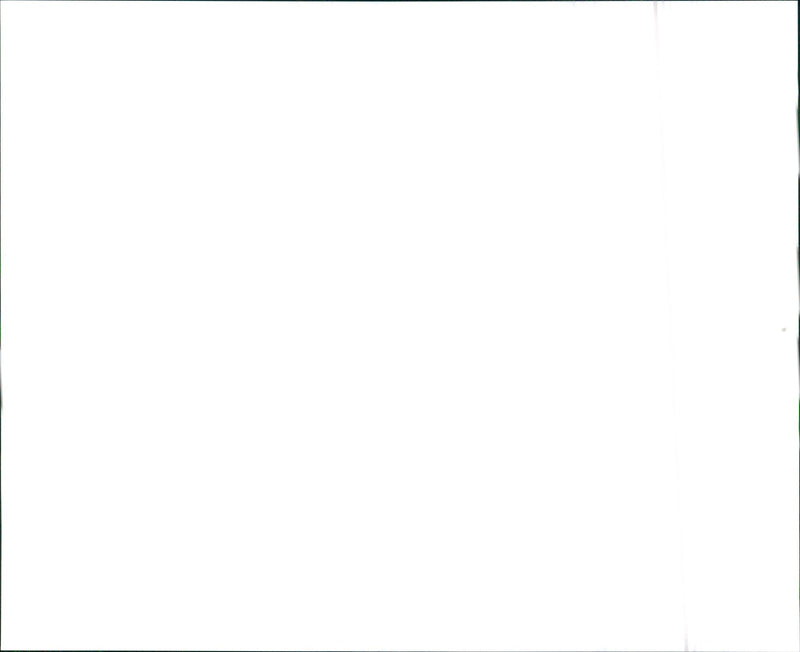 1993 Nissan Sentra E and 1993 Nissan Sentra GXE - Vintage Photograph