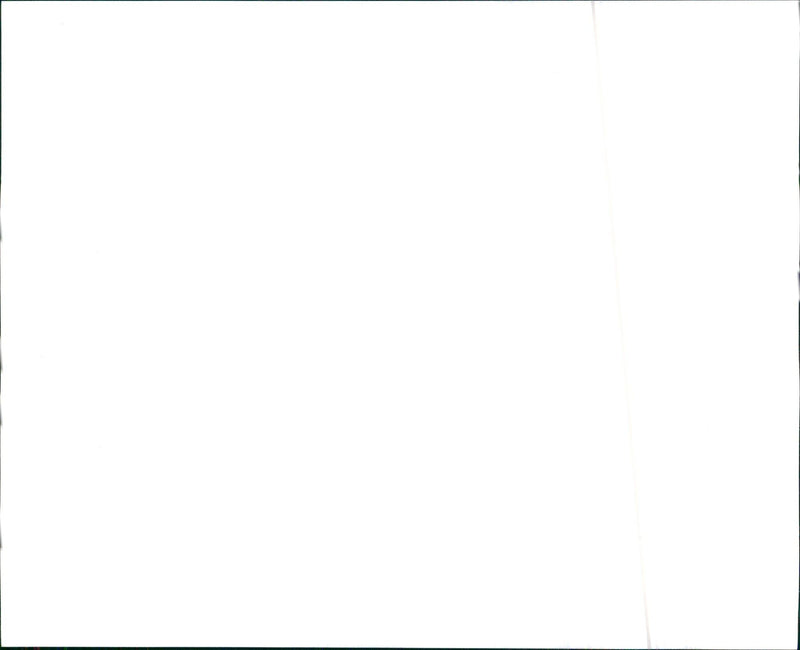 2000 Buick LeSabre Custom - Vintage Photograph