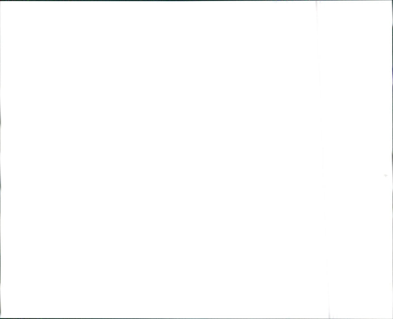 1993 Nissan NX 2000 - Vintage Photograph