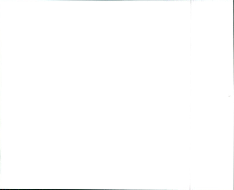 1993 Nissan 240SX SE Fastback and 1993 Nissan 240SX SE Coupe - Vintage Photograph