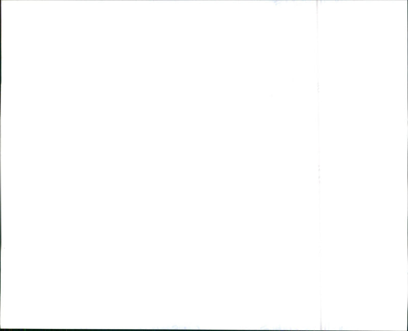 2000 Buick LeSabre Custom - Vintage Photograph