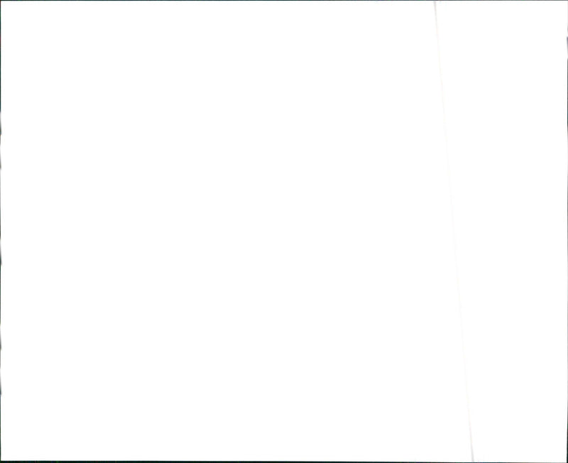 2000 Buick LeSabre Custom - Vintage Photograph