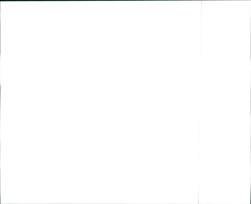 2000 Buick LeSabre Custom - Vintage Photograph